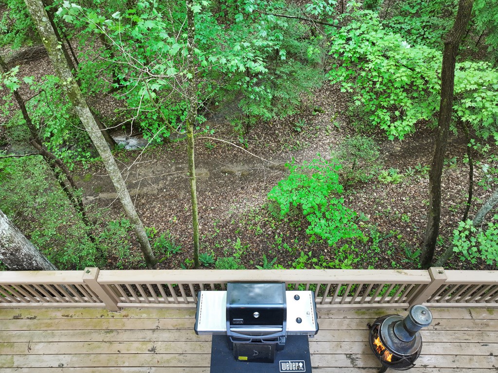 189 Cherry Lake Drive Property Photo 10