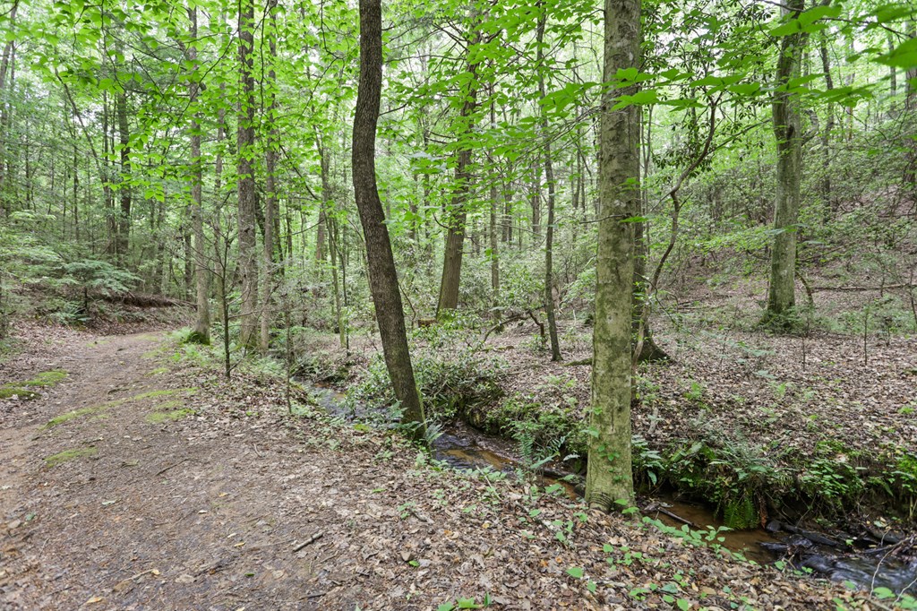 189 Cherry Lake Drive Property Photo 47
