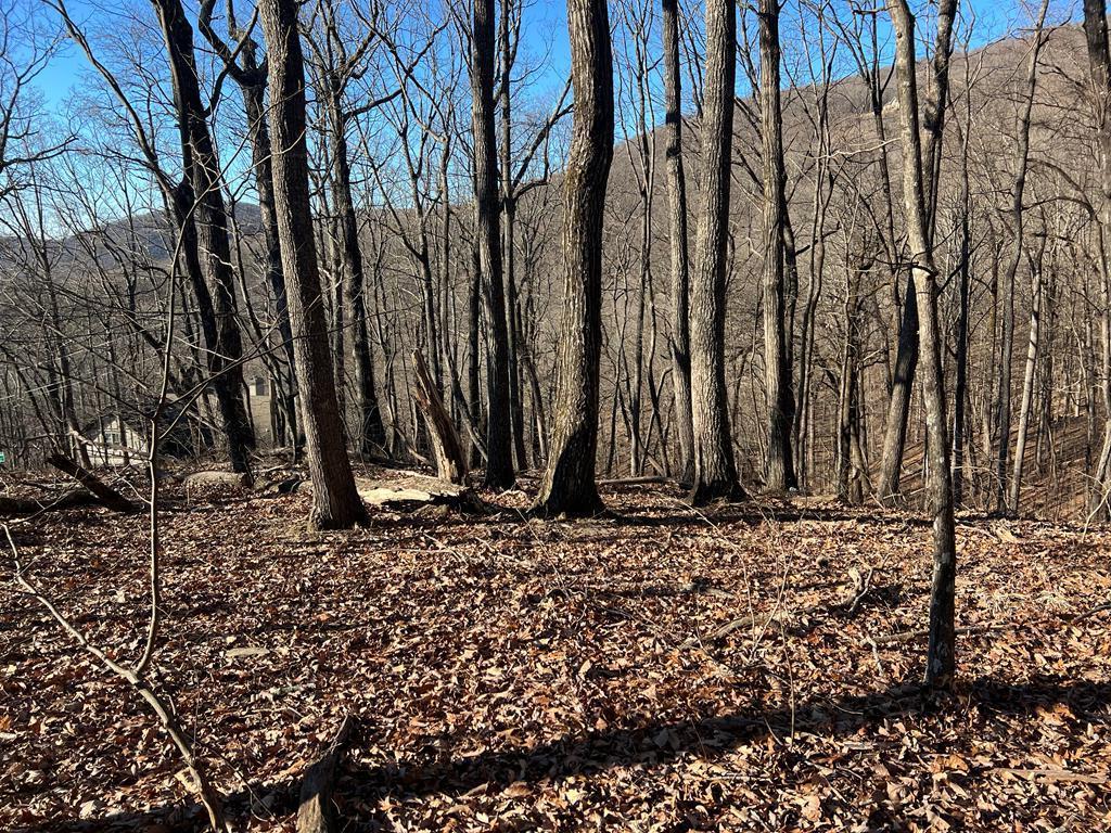 0 Sassafras Mountain Trail Property Photo 1