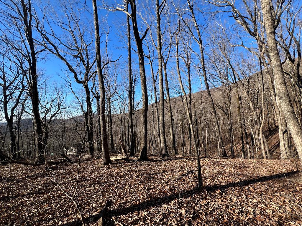 0 Sassafras Mountain Trail Property Photo 3