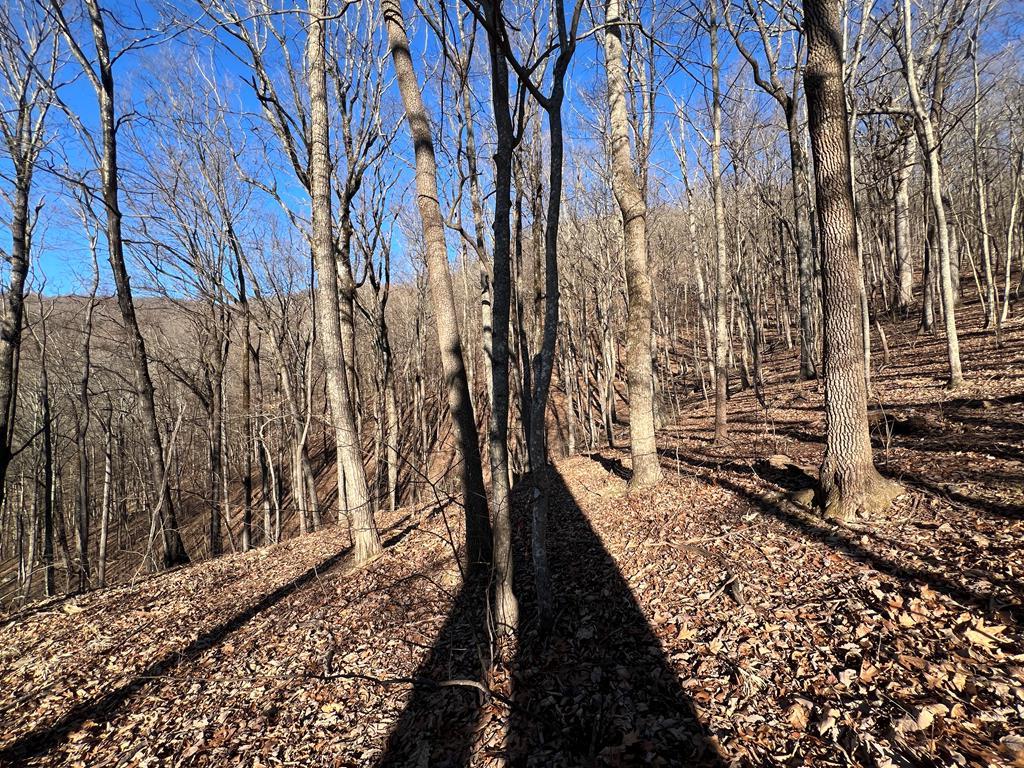 0 Sassafras Mountain Trail Property Photo 4