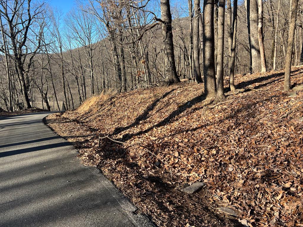 0 Sassafras Mountain Trail Property Photo 5