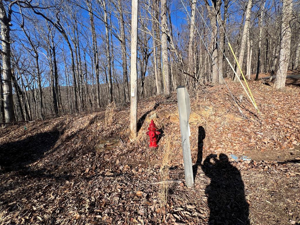 0 Sassafras Mountain Trail Property Photo 6