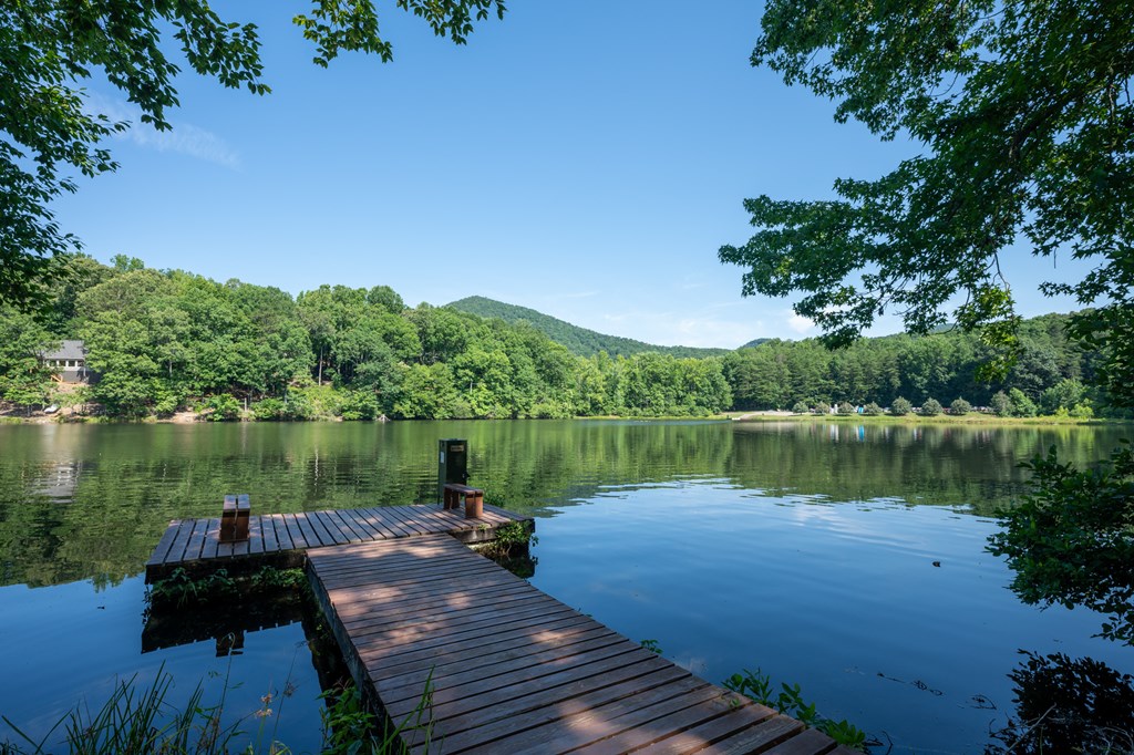 0 Sassafras Mountain Trail Property Photo 13