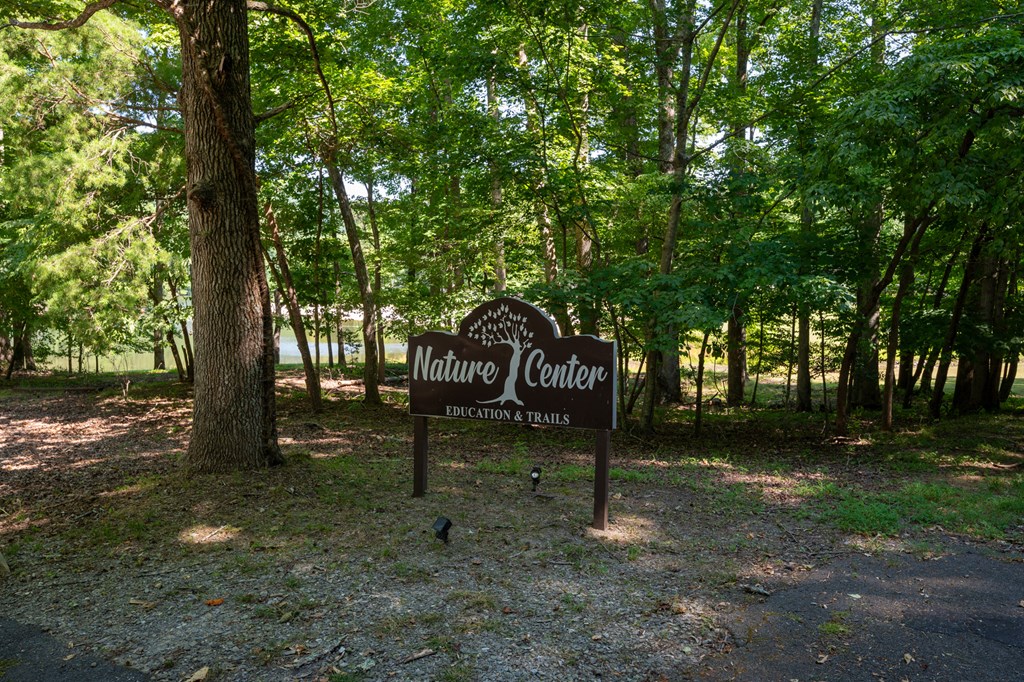 0 Sassafras Mountain Trail Property Photo 14