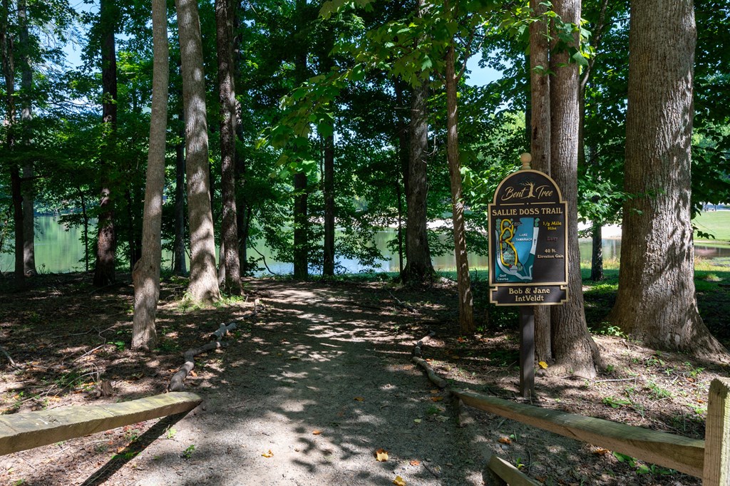0 Sassafras Mountain Trail Property Photo 15