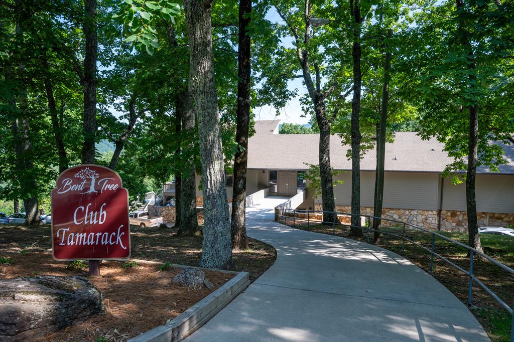 0 Sassafras Mountain Trail Property Photo 17