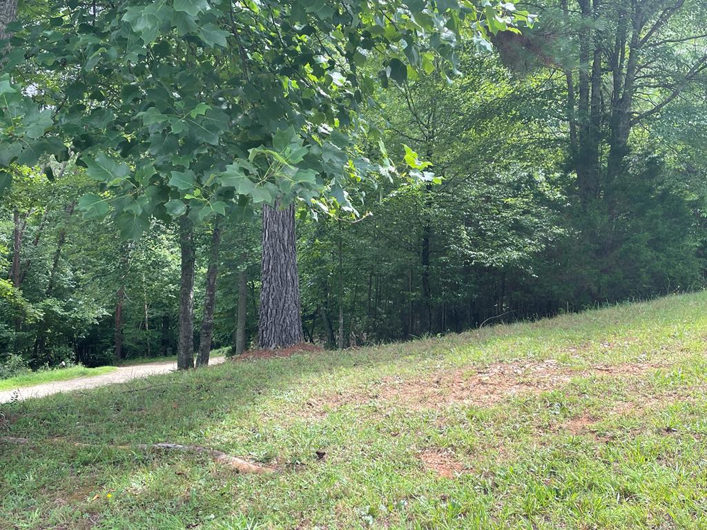 Lot 1 Pinehurst Property Photo 1