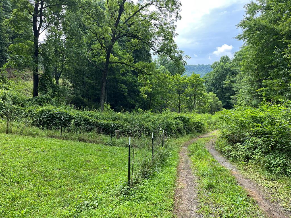 00 Bates Creek Road Property Photo 1