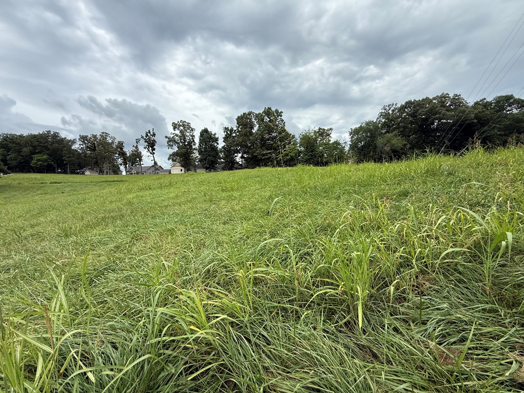 Lot 2 Viewpoint Lane Property Photo 2