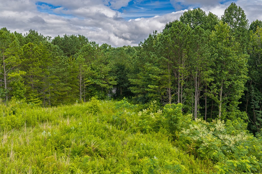 2027 Pleasant Valley Road Property Photo 19
