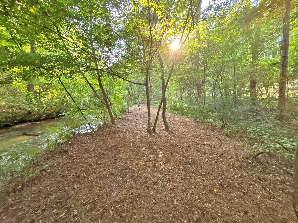 Lot 17 Mt. Springer Road Property Photo 4