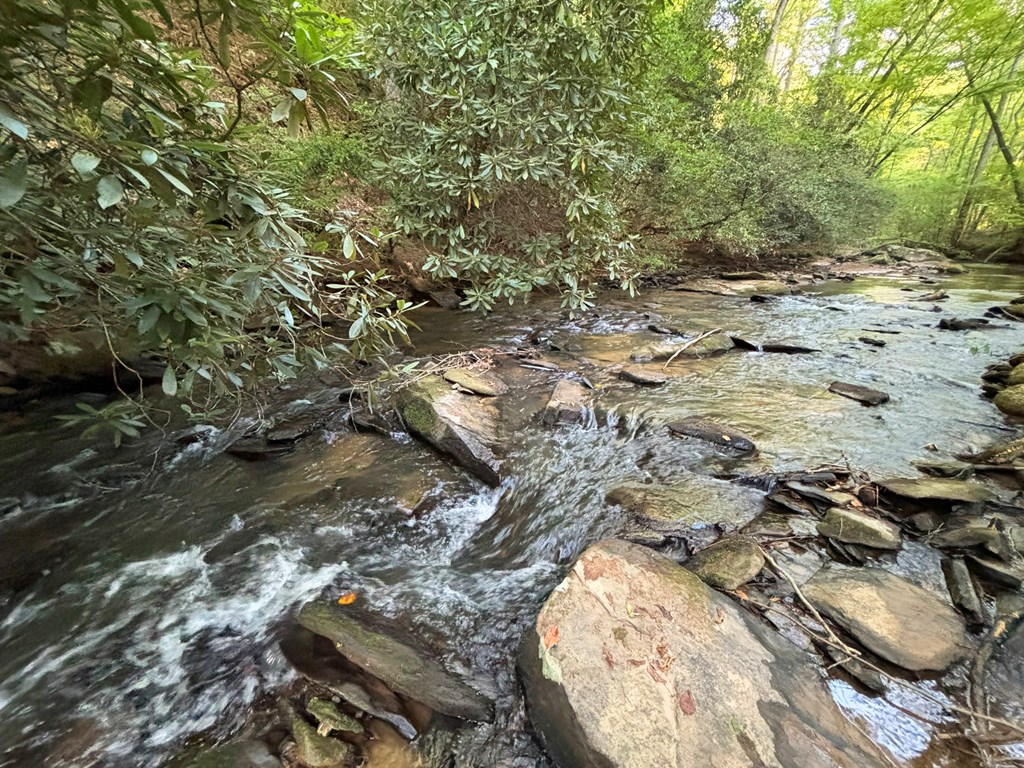 Lot 17 Mt. Springer Road Property Photo 5