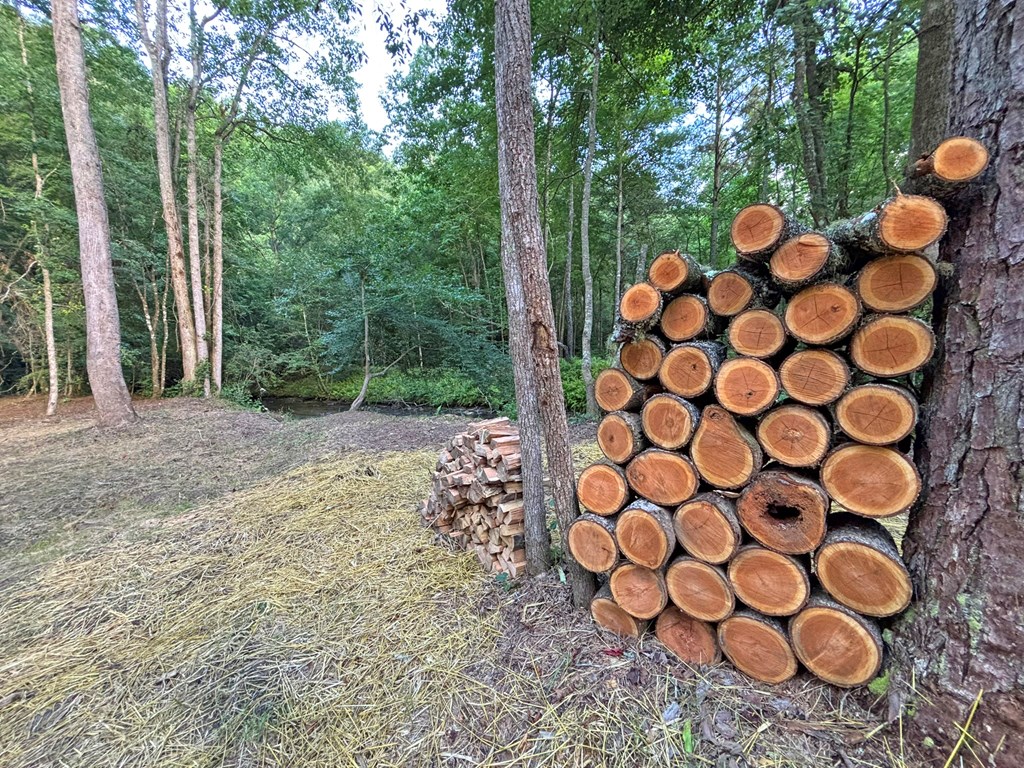 Lot 17 Mt. Springer Road Property Photo 7