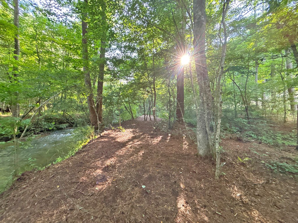 Lot 17 Mt. Springer Road Property Photo 8