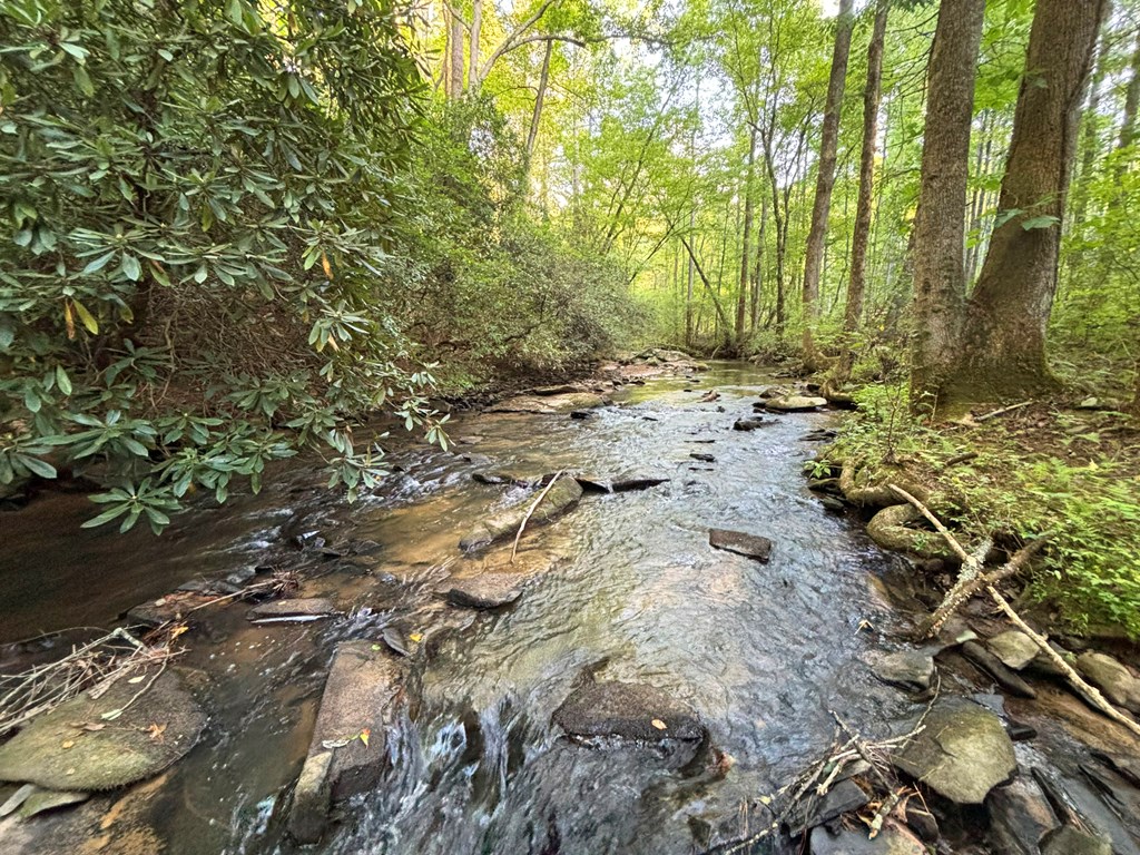 Lot 17 Mt. Springer Road Property Photo 9