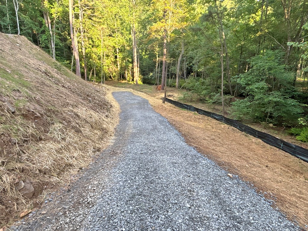 Lot 17 Mt. Springer Road Property Photo 10
