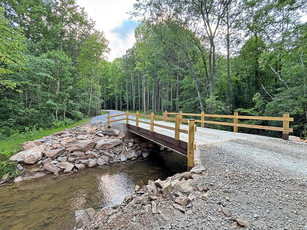 Lot 17 Mt. Springer Road Property Photo 11