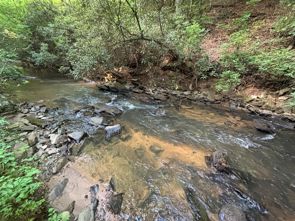 Lot 17 Mt. Springer Road Property Photo 13