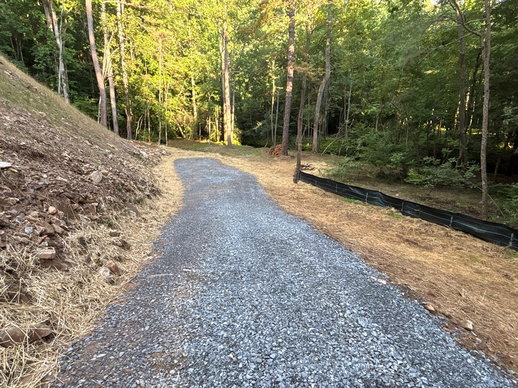 Lot 17 Mt. Springer Road Property Photo 14