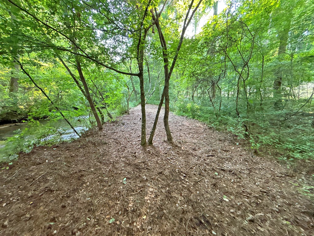 Lot 17 Mt. Springer Road Property Photo 16