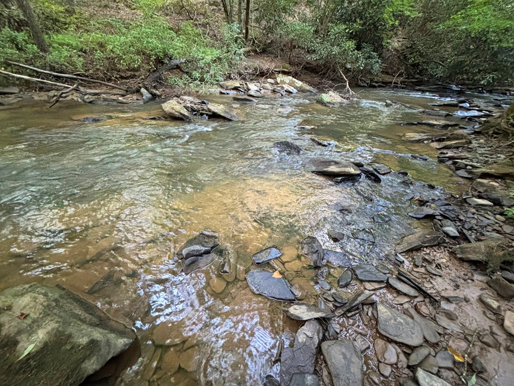 Lot 17 Mt. Springer Road Property Photo 17