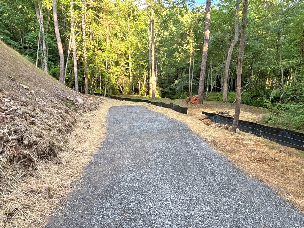 Lot 17 Mt. Springer Road Property Photo 18