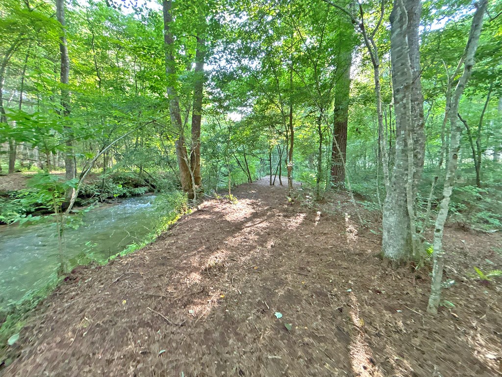 Lot 17 Mt. Springer Road Property Photo 20