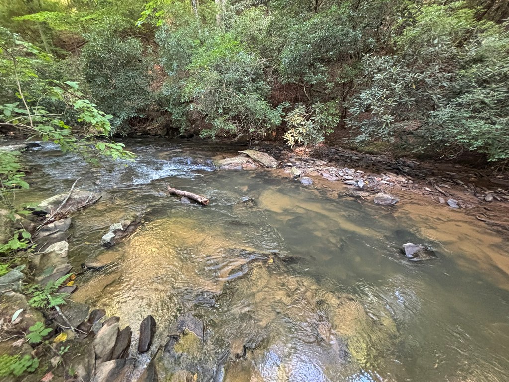 Lot 17 Mt. Springer Road Property Photo 23