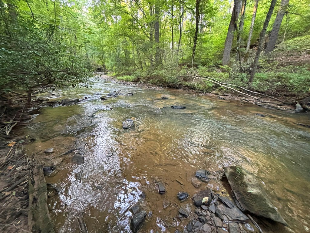 Lot 17 Mt. Springer Road Property Photo 26