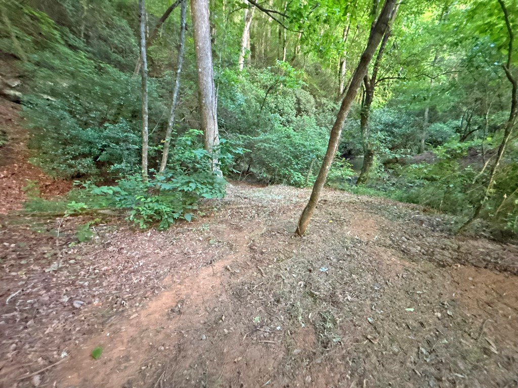 Lot 17 Mt. Springer Road Property Photo 27