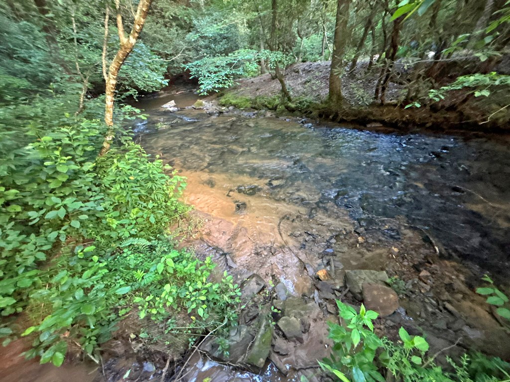 Lot 17 Mt. Springer Road Property Photo 29