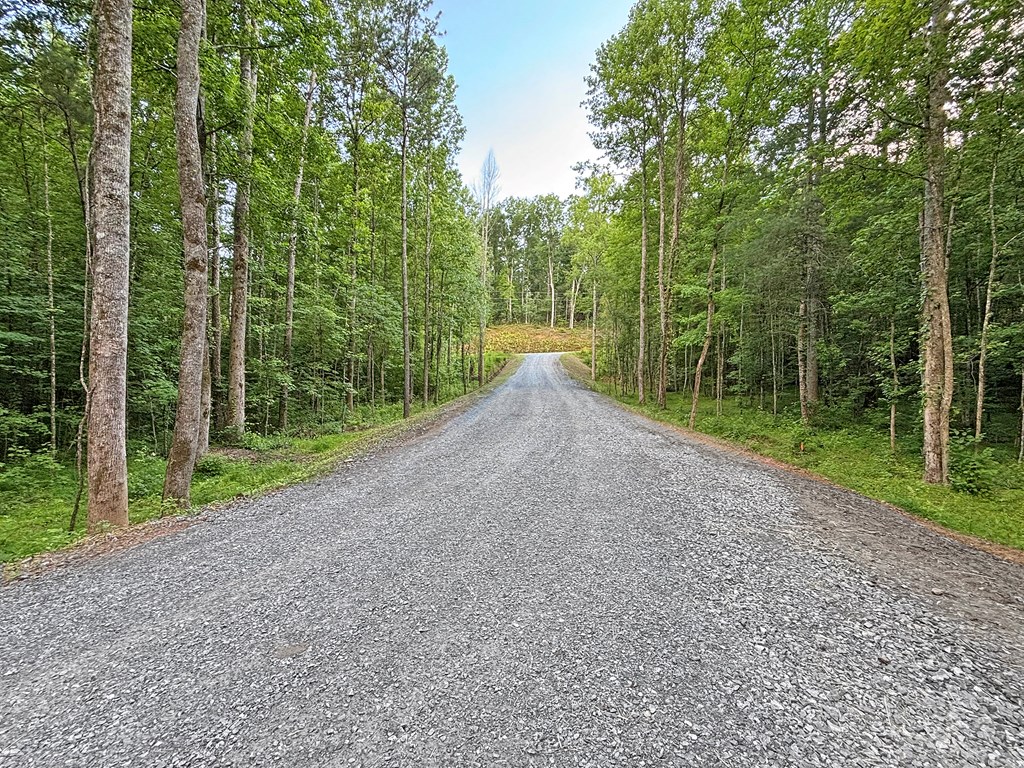 Lot 17 Mt. Springer Road Property Photo 31