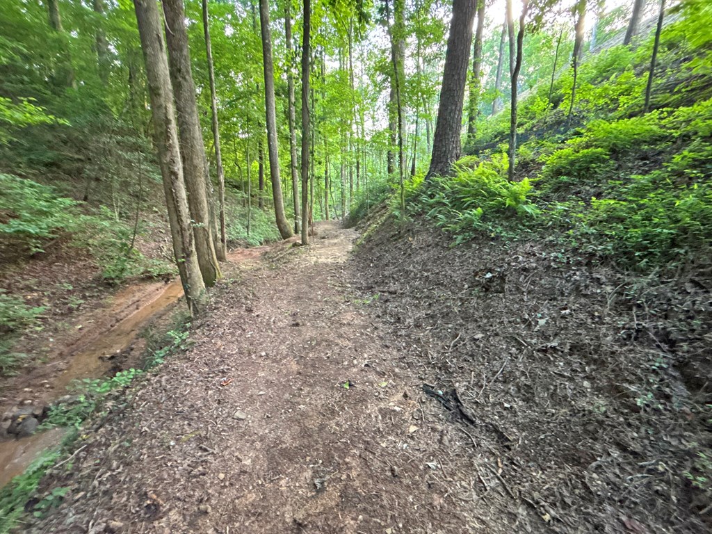 Lot 17 Mt. Springer Road Property Photo 33