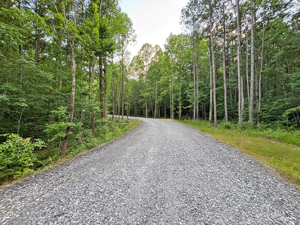 Lot 17 Mt. Springer Road Property Photo 34