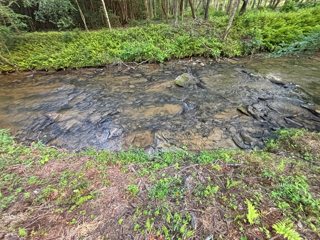 Lot 17 Mt. Springer Road Property Photo 35