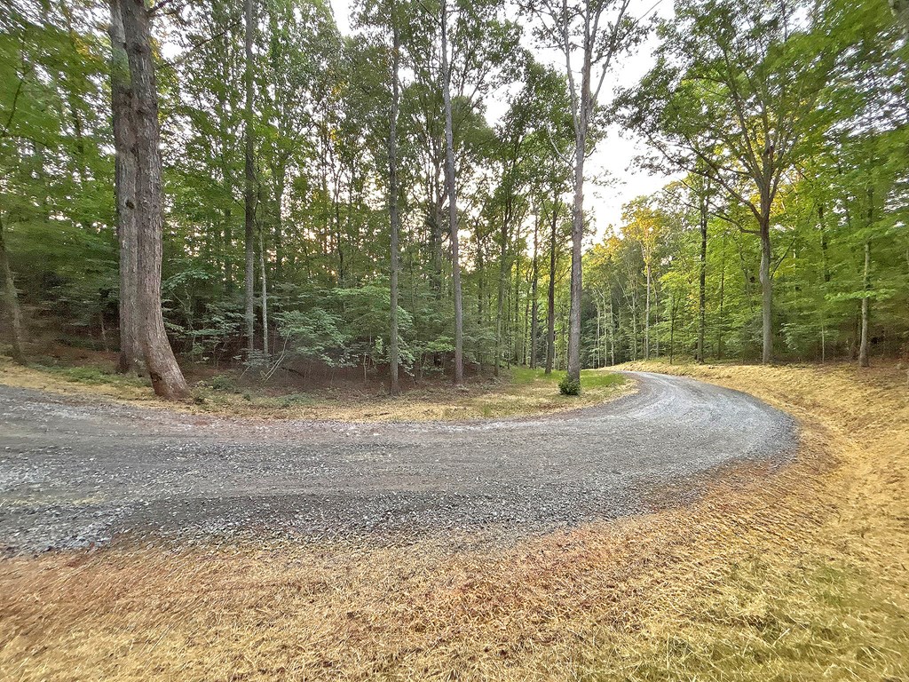 Lot 17 Mt. Springer Road Property Photo 37