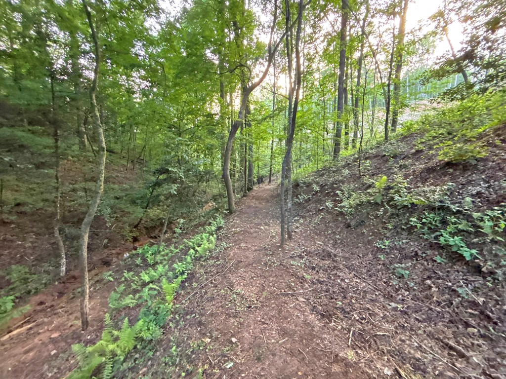 Lot 17 Mt. Springer Road Property Photo 42