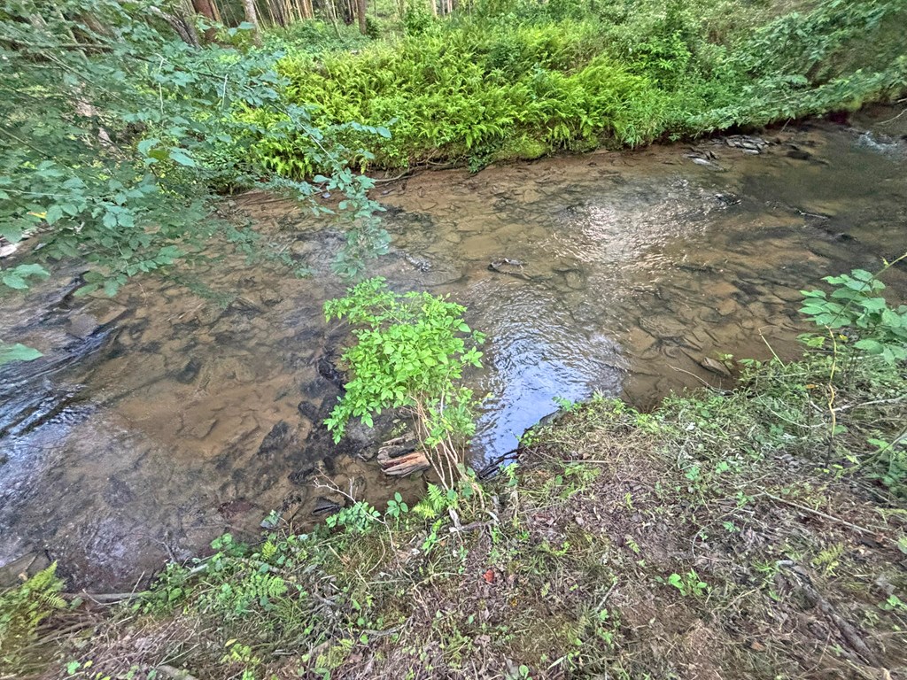 Lot 17 Mt. Springer Road Property Photo 43