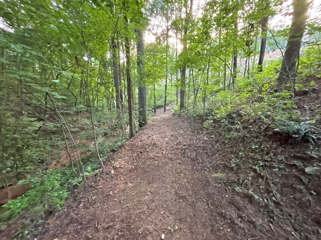 Lot 17 Mt. Springer Road Property Photo 44