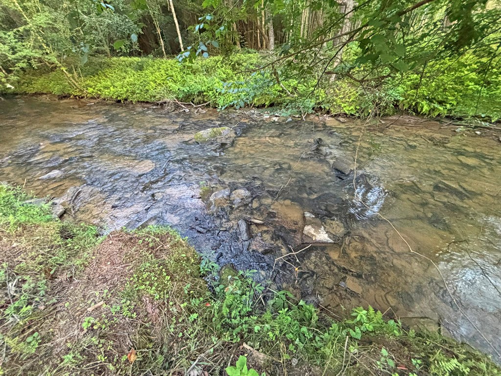 Lot 17 Mt. Springer Road Property Photo 45
