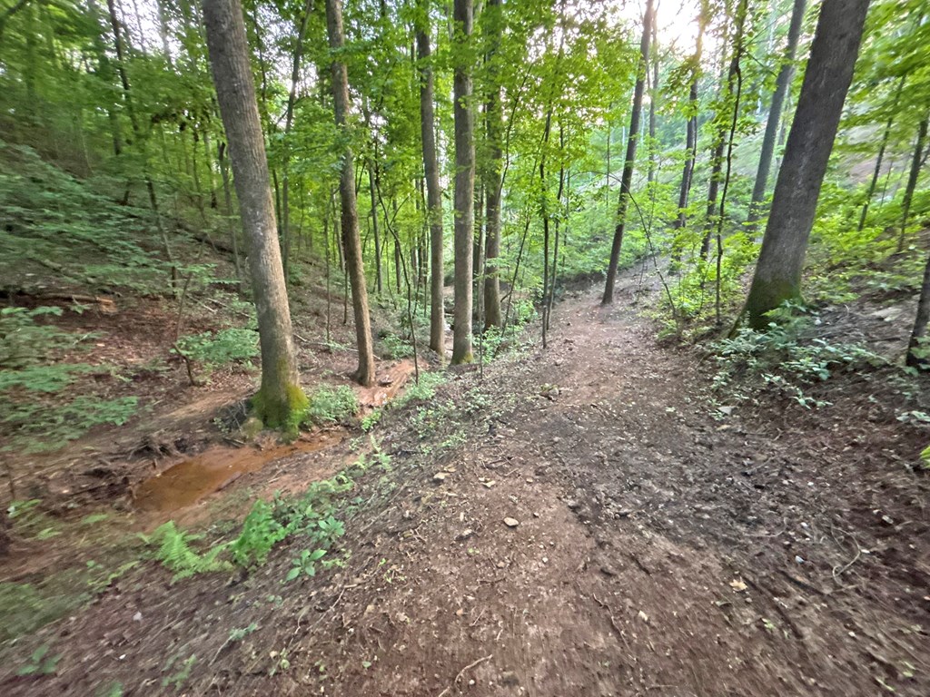 Lot 17 Mt. Springer Road Property Photo 46