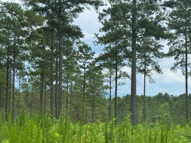 Lot 88 Springfield Parkway Property Photo 1