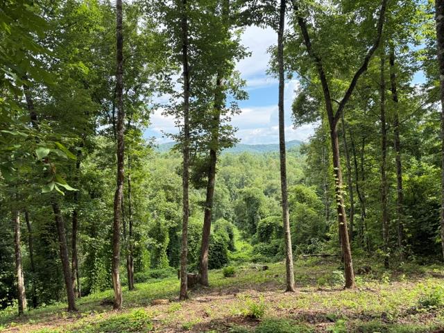 Lot 25 Bryson Creek Property Photo 1
