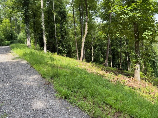 Lot 25 Bryson Creek Property Photo 6