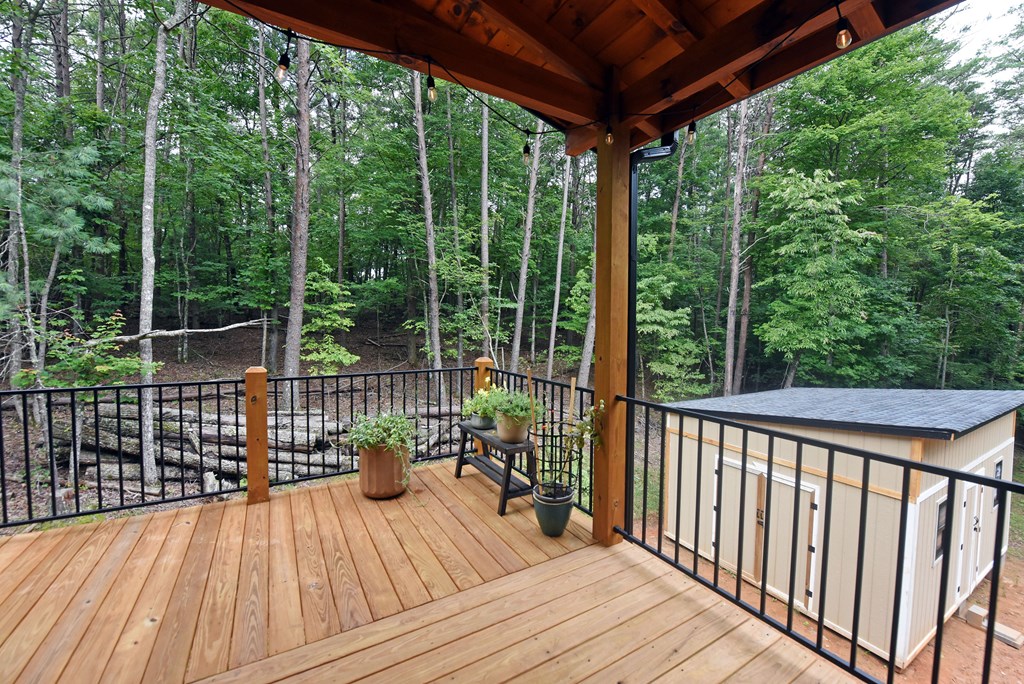 954 Tipton Springs Road Property Photo 38