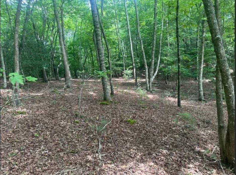 2 Thunder Road Property Photo 1