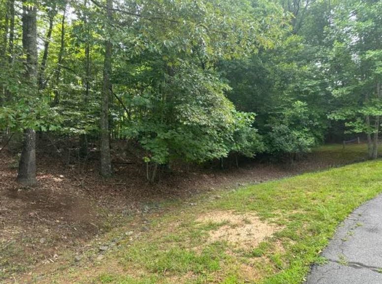 2 Thunder Road Property Photo 5