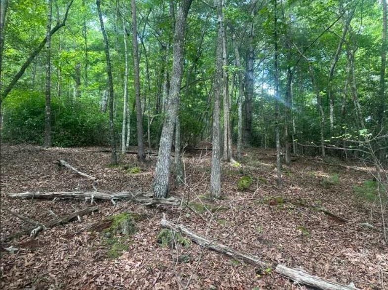 2 Thunder Road Property Photo 7