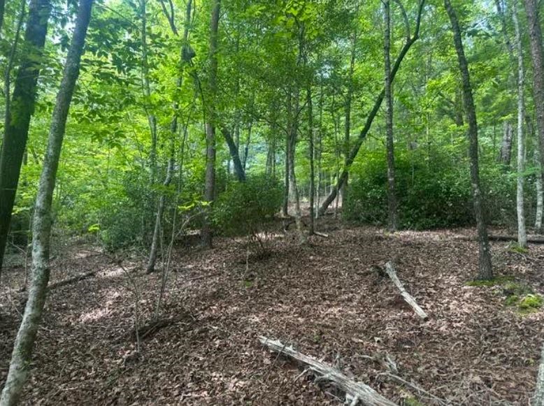 2 Thunder Road Property Photo 8